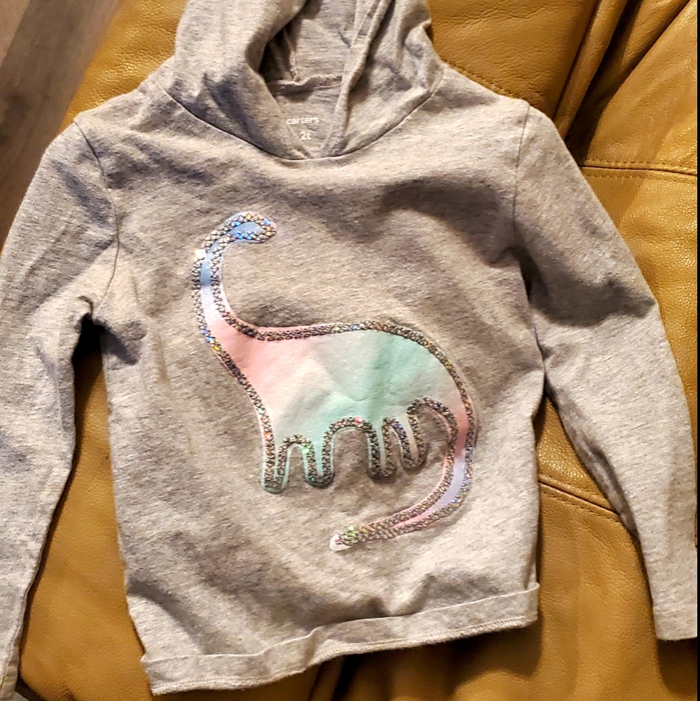 2T Carters Hooded Dinosaur Top
